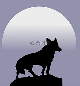 狼,月亮,側(cè)影