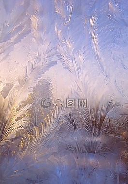 冬季,漫漫,弗羅斯特