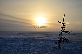 日落,海,水