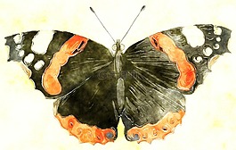 水彩,画,墨水