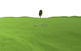 景觀,樹,草