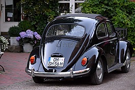 技術(shù),oldtimer,甲蟲