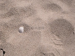 外殼,海灘,沙