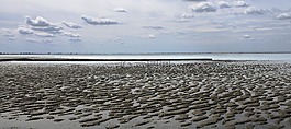 海滩,水,schlick