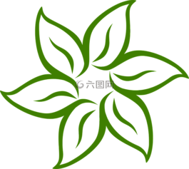 夏威夷,熱帶,槿