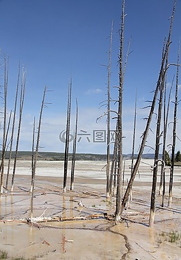 黃石公園,國家公園,死亡
