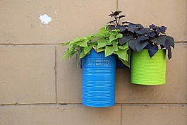 花箱,鲜花,植物