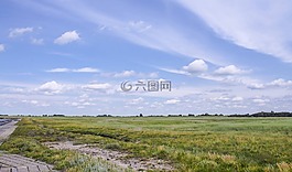 花,性質(zhì),廠