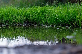 瀝青,水坑,雨