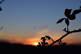 日落,夏天,溫暖
