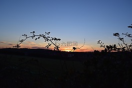 日落,夏天,溫暖