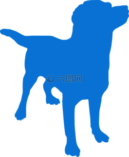 狗,寵物,動(dòng)物