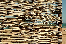 背景,模式,紋理