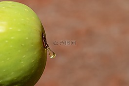 無花果,關(guān)閉,水果