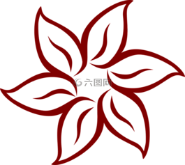 花,对称性,叶子
