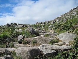 巖,景觀,荒野