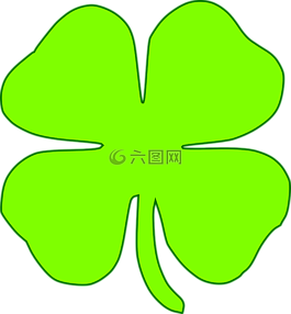 三叶草,四,叶子