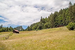 阿爾卑斯山,原野,小屋