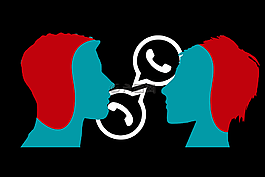 whatsapp,設計,通訊