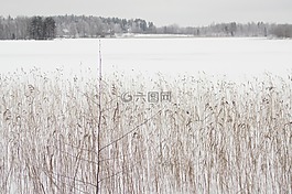冬天,凍的湖,白