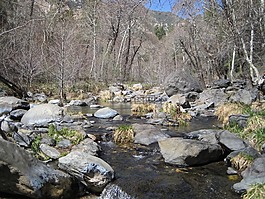 水,河,溪