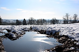 雪,冬天,景觀
