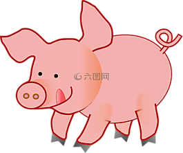 豬,可愛,舌頭
