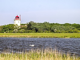 景观,灯塔,湖