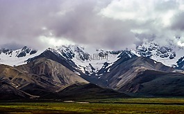 自然,景觀,山