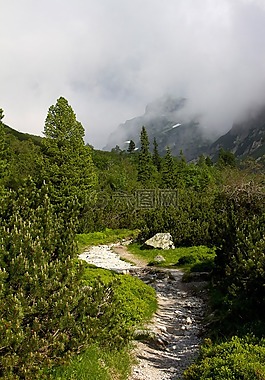 徒步旅行,路徑,山