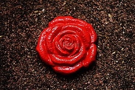 玫瑰,石膏,繪