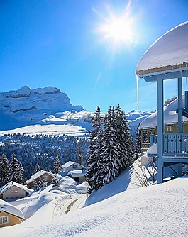 雪,冬天,山