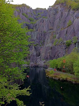湖,樹,石板
