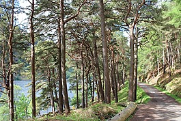 风景,爱尔兰,格兰达洛