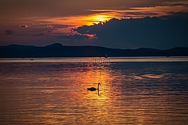 巴拉頓湖,日落,性質(zhì)