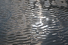 水,河,景觀