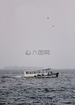 自然,水,海