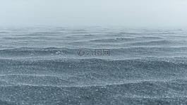 灰色,沙,土壤