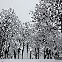 冬天,白,雪