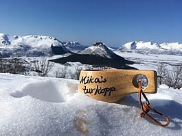 冬季,雪,山