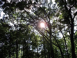 太陽,閃耀,彎曲