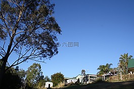 天空,藍色,樹