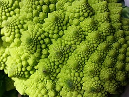 romanesco 西兰花,菜花,蔬菜