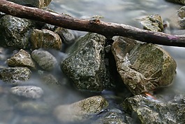 河,水,過獨(dú)身生活