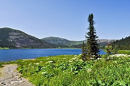 湖,原野,草