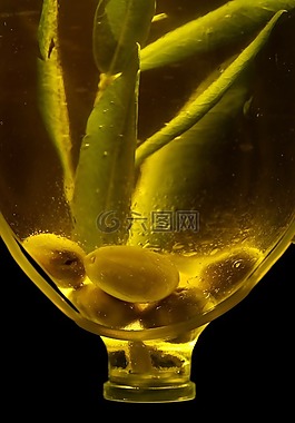 橄欖,瓶子,橄欖油