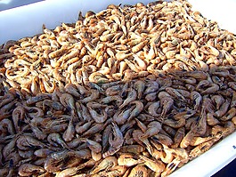 螃蟹,海,食品