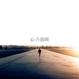 自然,樹,路