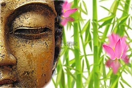 佛,禪宗,健康