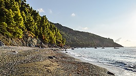 海灘,野生,空